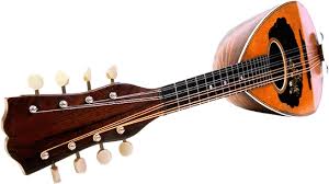 A mandolin (Italian: mandolino; literally "small mandola") is a musical instrument in the lute family and is usually plucked with a plectrum or "pick". It commonly has four courses of doubled strings tuned in unison (8 strings), although five (10 strings) and six (12 strings) course versions also exist. The courses are normally tuned in a succession of perfect fifths. It is the soprano member of a family that includes the mandola, octave mandolin, mandocello, and mandobass.