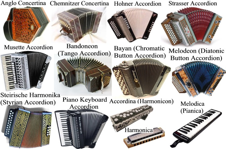 Akkordica allows you to reproduce many different accordion types (diatonic and chromatic) for various genres of musical styles such as Folk, Rock, Blues, Jazz, Polka, Bal-musette, Cajun, Zydeco, Classical, Schrammelmusik, Klezmer, Levenslied, Sevdalinka, Boeremusiek, Forró, Merengue, Cueca, Milonga, Chamamé, Cumbia, Vallenato, Norteño, Tex-Mex, Saltarello, Tarantella, Ceol and Inuit music.